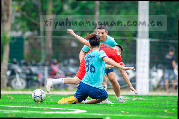 近30期开奖号码彩色折线趋势图